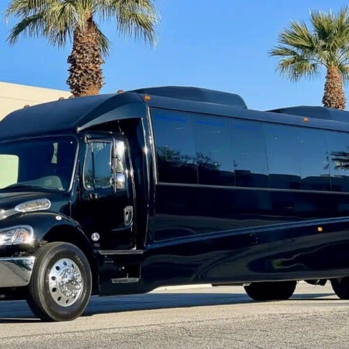 32-36 Passenger Mini Bus