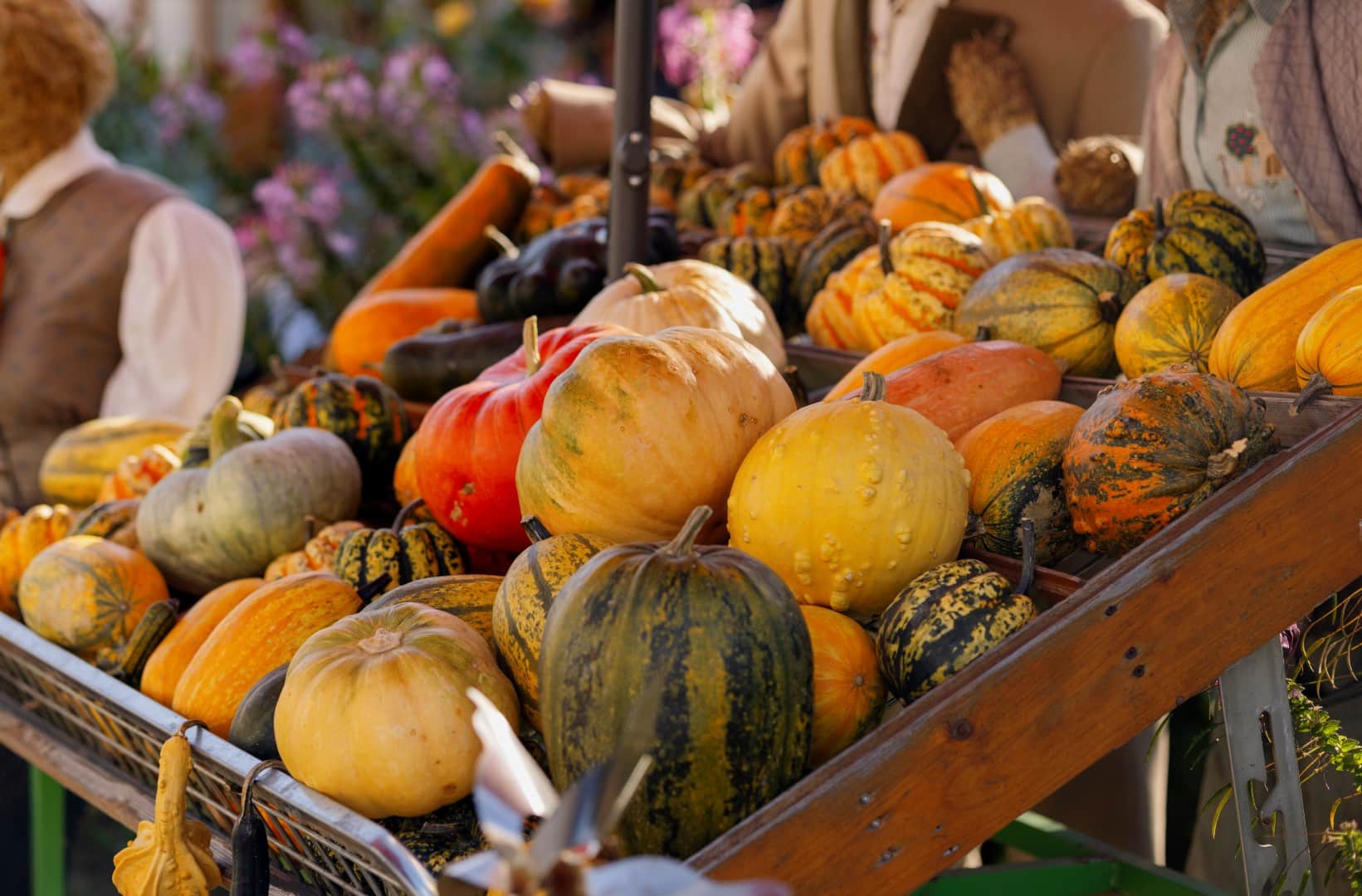 A Weekend in Centreville, VA: Where to Go, What to Eat, and Why It Works